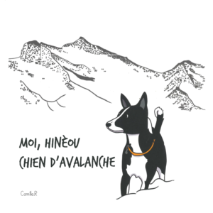 Hinèou, chien d’avalanche