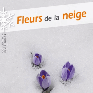 L06 – Fleurs de la neige
